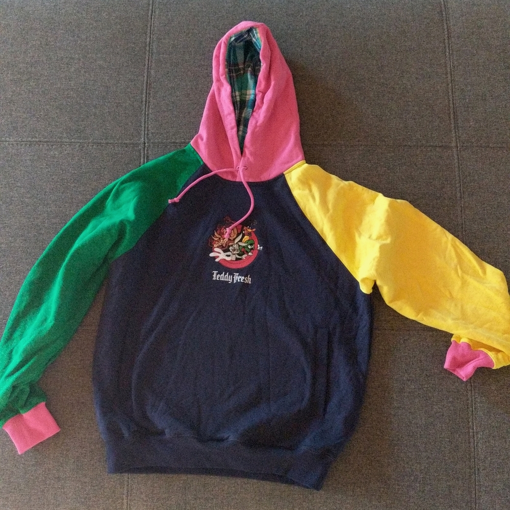 NWOT Teddy Fresh Looney Tunes Colorblocked Hoodie